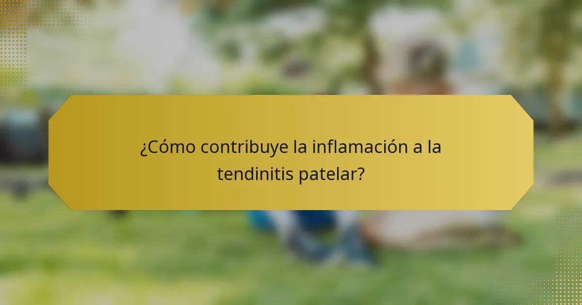 ¿Cómo contribuye la inflamación a la tendinitis patelar?
