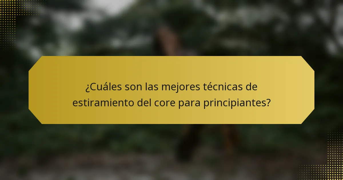 ¿Cuáles son las mejores técnicas de estiramiento del core para principiantes?