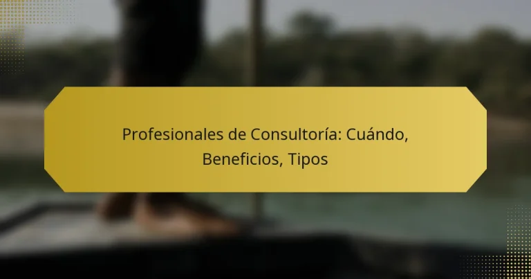 Profesionales de Consultoría: Cuándo, Beneficios, Tipos