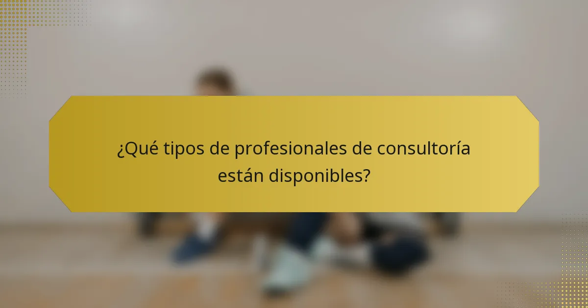 ¿Qué tipos de profesionales de consultoría están disponibles?